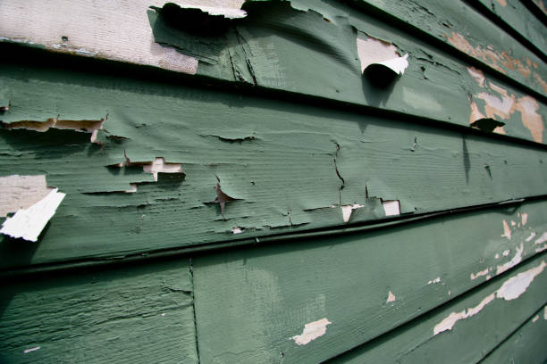 Trusted Comstock Northwest, MI Siding Installation & Repair Experts