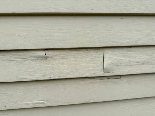 Siding for Commercial Buildings in Comstock Northwest, MI